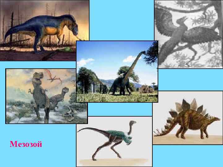 Мезозой 
