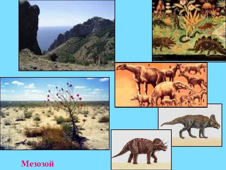 Мезозой 