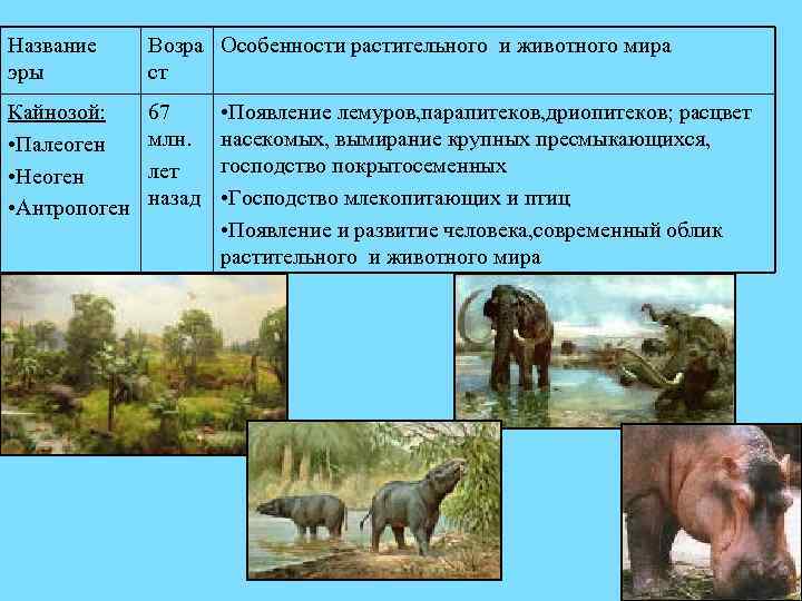 Название эры Возра Особенности растительного и животного мира ст Кайнозой: • Палеоген • Неоген
