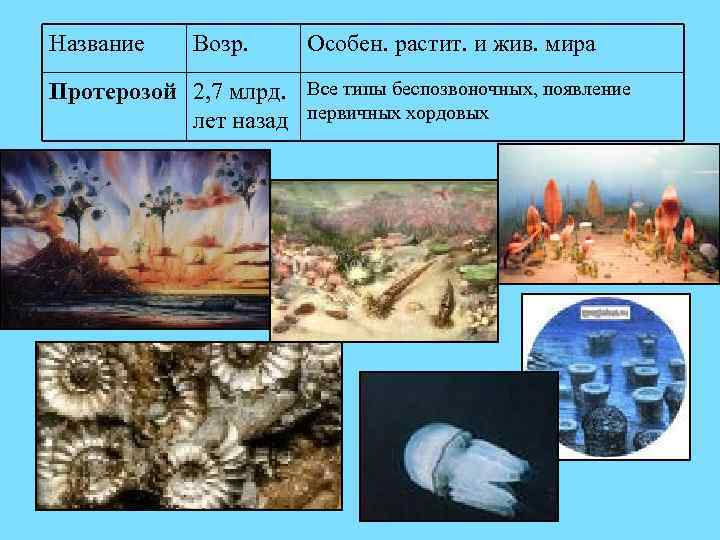 Название Возр. Особен. растит. и жив. мира Протерозой 2, 7 млрд. Все типы беспозвоночных,