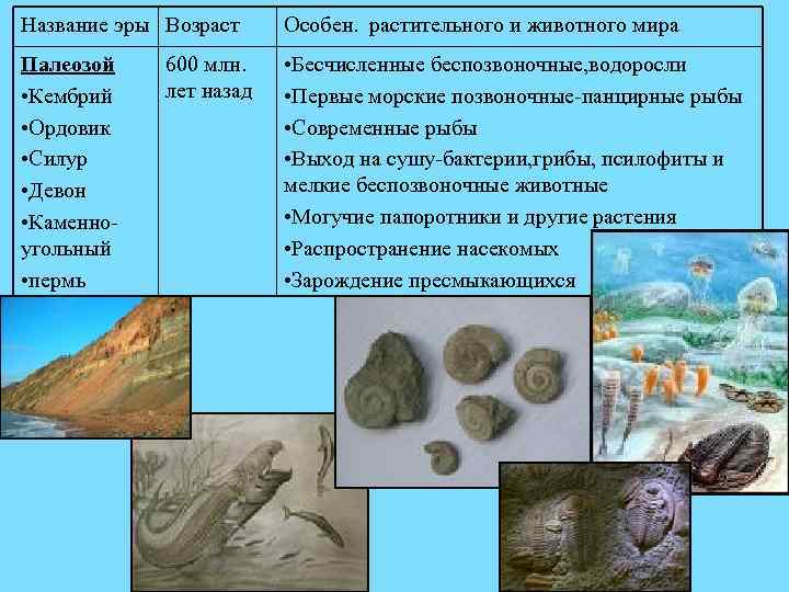 4 период палеозойской эры. Палеозойская Эра периоды Кембрий, Ордовик, Силур. Кембрий Ордовик Силур Девон таблица. Девон Палеозойская Эра таблица. Палеозойская Эра Ордовик.