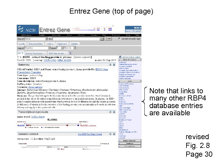 Entrez Gene (top of page) Note that links to many other RBP 4 database
