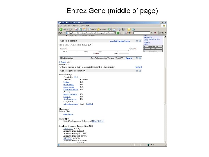Entrez Gene (middle of page) 