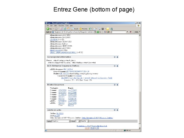 Entrez Gene (bottom of page) 