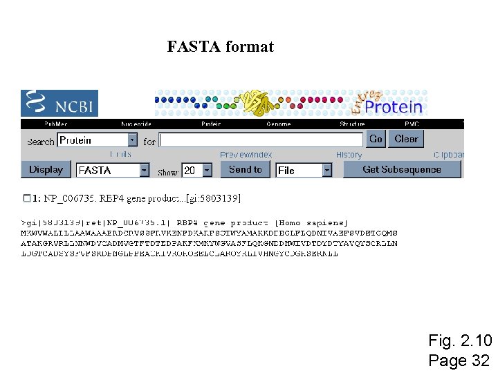 FASTA format Fig. 2. 10 Page 32 
