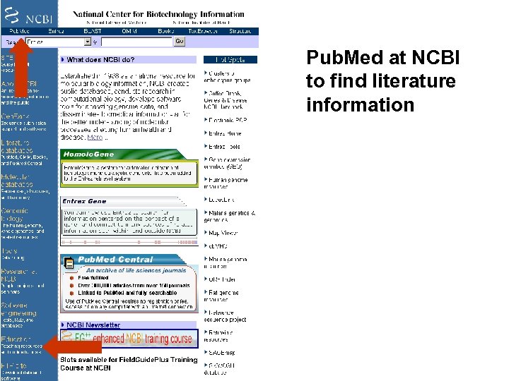 Pub. Med at NCBI to find literature information 
