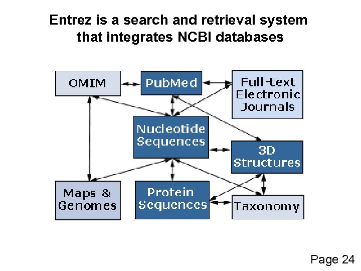 Entrez is a search and retrieval system that integrates NCBI databases Page 24 
