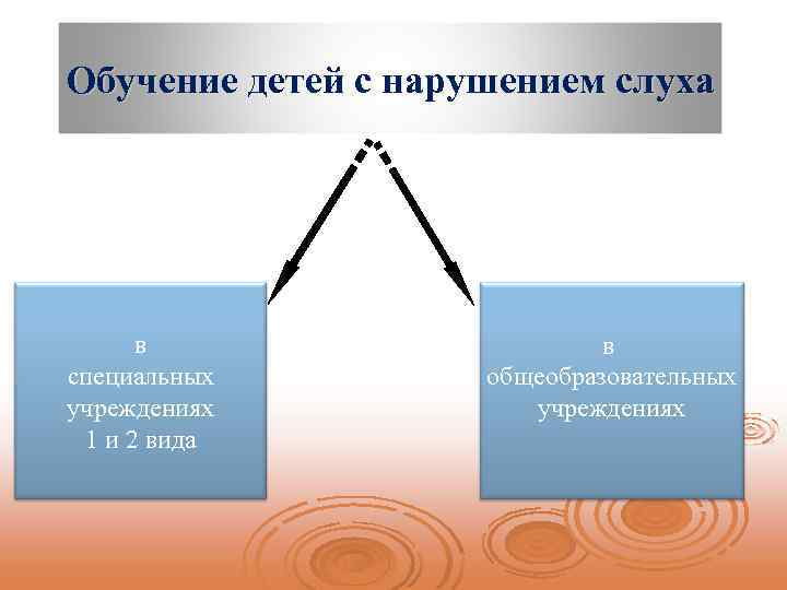 Обучение детей с нарушением слуха в специальных учреждениях 1 и 2 вида в общеобразовательных