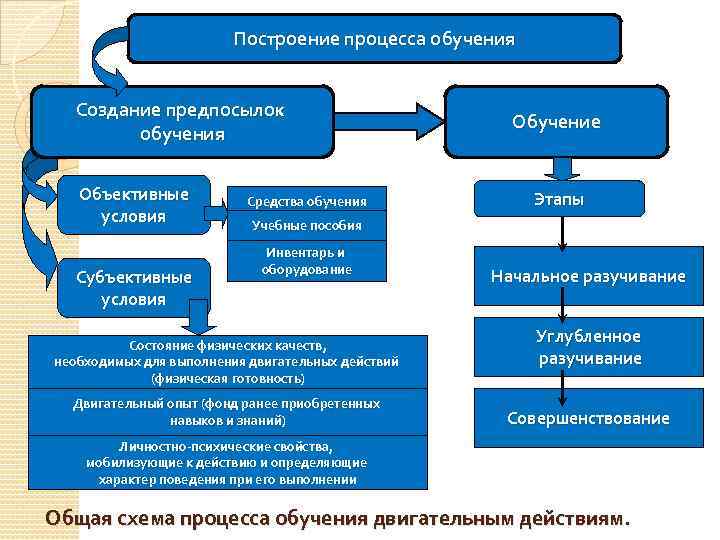 Процесс обучения двигательному