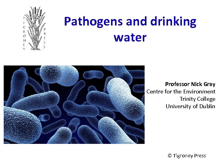 Pathogens and drinking water Professor Nick Gray Centre for the Environment Trinity College University