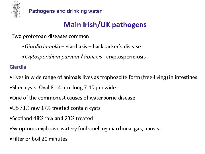 Pathogens and drinking water Main Irish/UK pathogens Two protozoan diseases common • Giardia lamblia