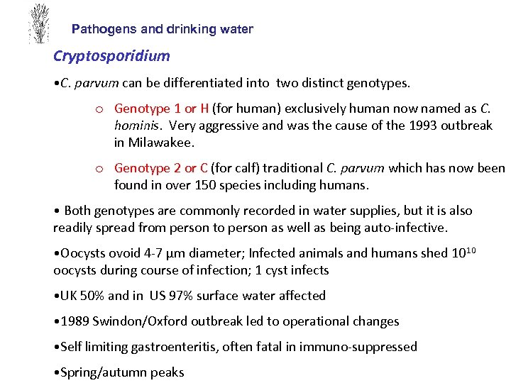 Pathogens and drinking water Cryptosporidium • C. parvum can be differentiated into two distinct