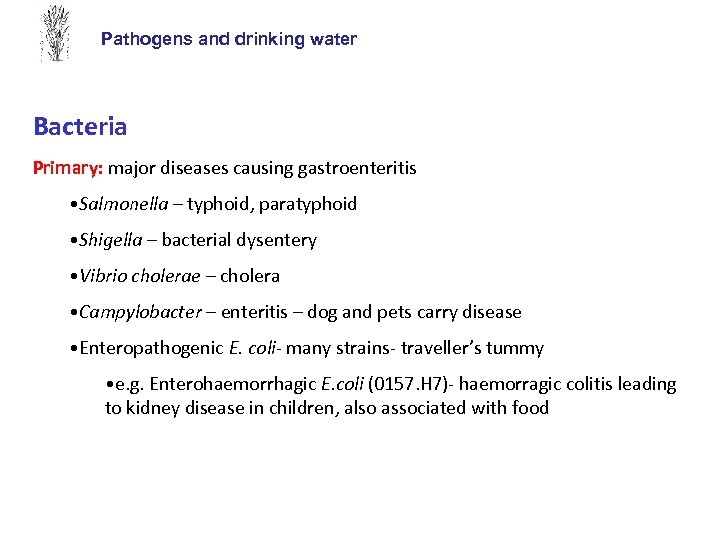 Pathogens and drinking water Bacteria Primary: major diseases causing gastroenteritis • Salmonella – typhoid,