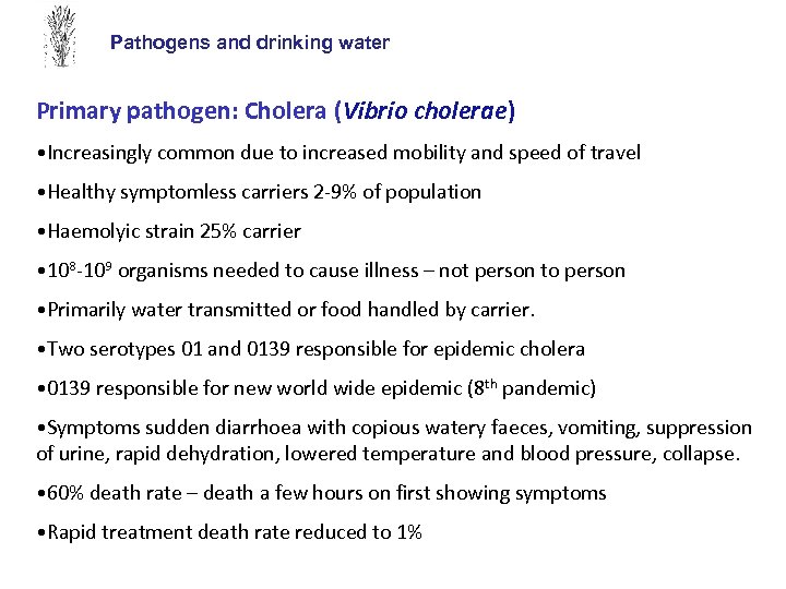 Pathogens and drinking water Primary pathogen: Cholera (Vibrio cholerae) • Increasingly common due to