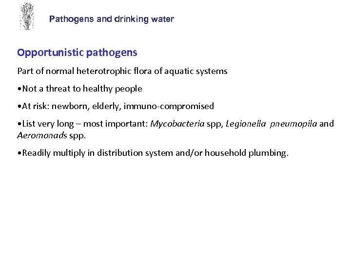 Pathogens and drinking water Opportunistic pathogens Part of normal heterotrophic flora of aquatic systems