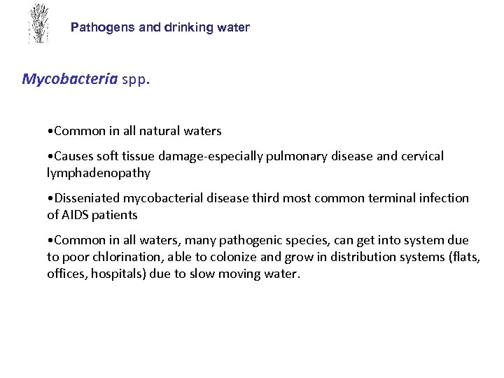 Pathogens and drinking water Mycobacteria spp. • Common in all natural waters • Causes