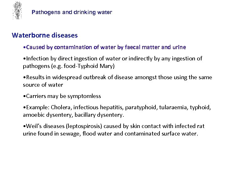 Pathogens and drinking water Waterborne diseases • Caused by contamination of water by faecal