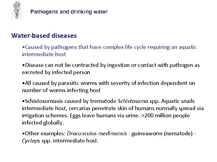 Pathogens and drinking water Water-based diseases • Caused by pathogens that have complex life