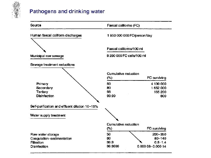 Pathogens and drinking water 