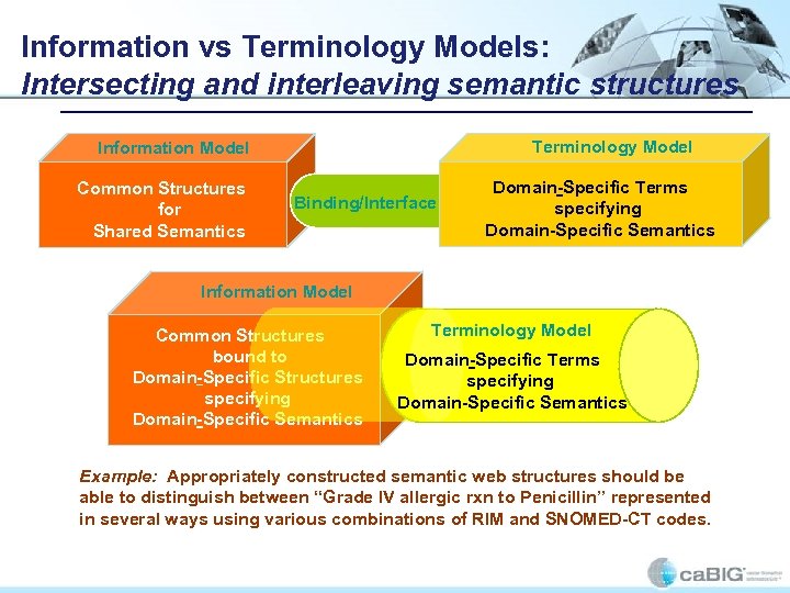 Information vs Terminology Models: Intersecting and interleaving semantic structures Terminology Model Information Model Common