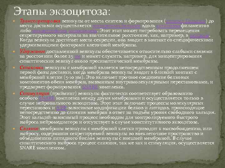 Этапы экзоцитоза: Транспортировка везикулы от места синтеза и формирования (аппарат Гольджи) до места доставки