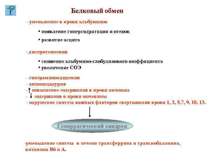 Белковый обмен - уменьшение в крови альбуминов • появление гипергидратации и отеков • развитие