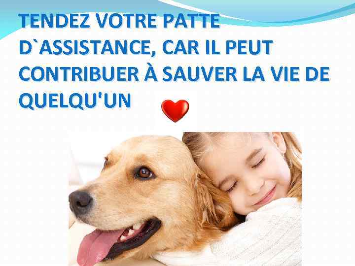 TENDEZ VOTRE PATTE D`ASSISTANCE, CAR IL PEUT CONTRIBUER À SAUVER LA VIE DE QUELQU'UN