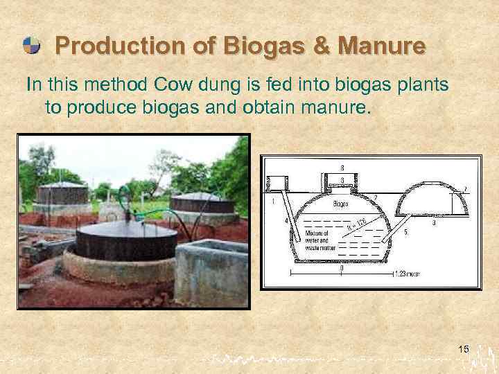 Production of Biogas & Manure In this method Cow dung is fed into biogas