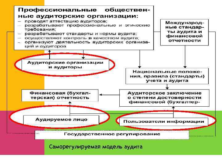 Саморегулируемая модель аудита 