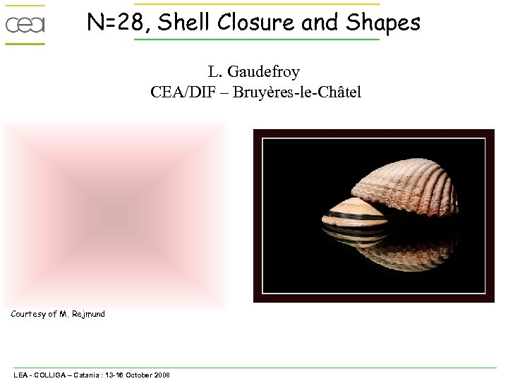 N=28, Shell Closure and Shapes L. Gaudefroy CEA/DIF – Bruyères-le-Châtel Courtesy of M. Rejmund
