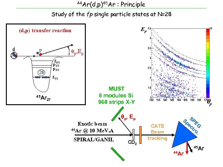 44 Ar(d, p)45 Ar : Principle Study of the fp single particle states at