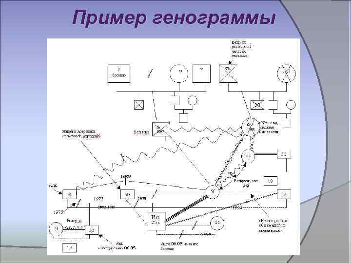 Пример генограммы 