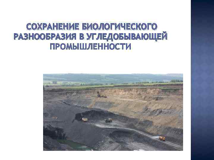 СОХРАНЕНИЕ БИОЛОГИЧЕСКОГО РАЗНООБРАЗИЯ В УГЛЕДОБЫВАЮЩЕЙ ПРОМЫШЛЕННОСТИ 
