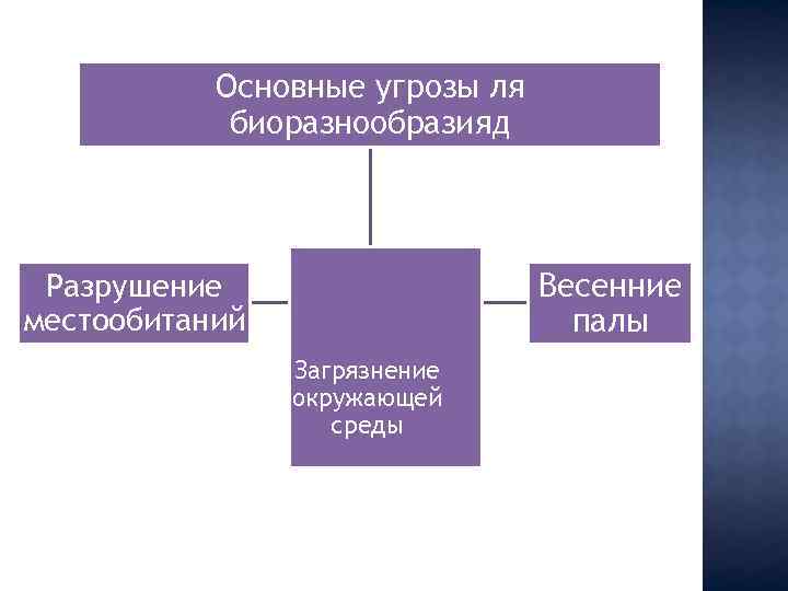 Основные угрозы ля биоразнообразияд Весенние палы Разрушение местообитаний Загрязнение окружающей среды 