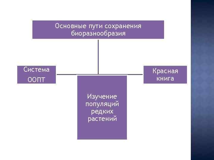 Основные пути сохранения биоразнообразия Система Красная книга ООПТ Изучение популяций редких растений 