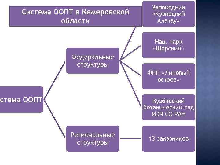 Система ООПТ в Кемеровской области Заповедник «Кузнецкий Алатау» Нац. парк «Шорский» Федеральные структуры ФПП