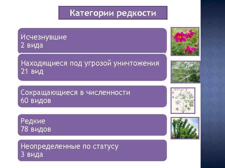 Категории редкости Исчезнувшие 2 вида Находящиеся под угрозой уничтожения 21 вид Сокращающиеся в численности