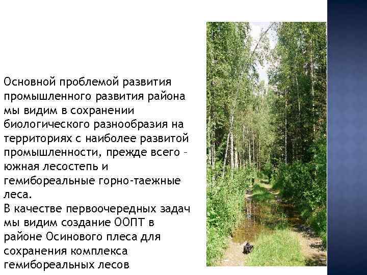 Основной проблемой развития промышленного развития района мы видим в сохранении биологического разнообразия на территориях