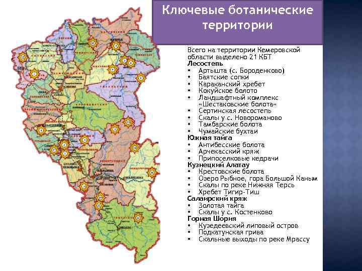 Ключевые ботанические территории Всего на территории Кемеровской области выделено 21 КБТ Лесостепь • Артышта