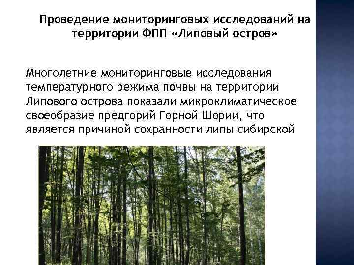 Проведение мониторинговых исследований на территории ФПП «Липовый остров» Многолетние мониторинговые исследования температурного режима почвы