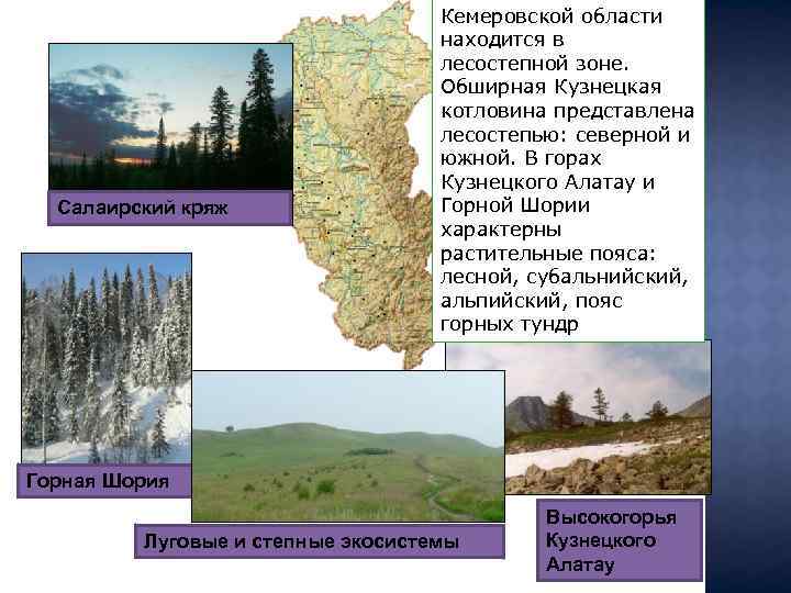 Какой вид охраняется в донецком кряже