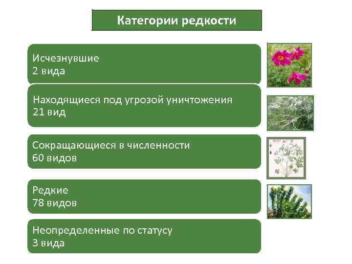 Категории редкости Исчезнувшие 2 вида Находящиеся под угрозой уничтожения 21 вид Сокращающиеся в численности