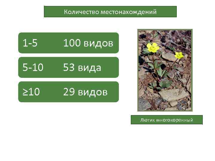 Количество местонахождений 1 -5 100 видов 5 -10 53 вида ≥ 10 29 видов