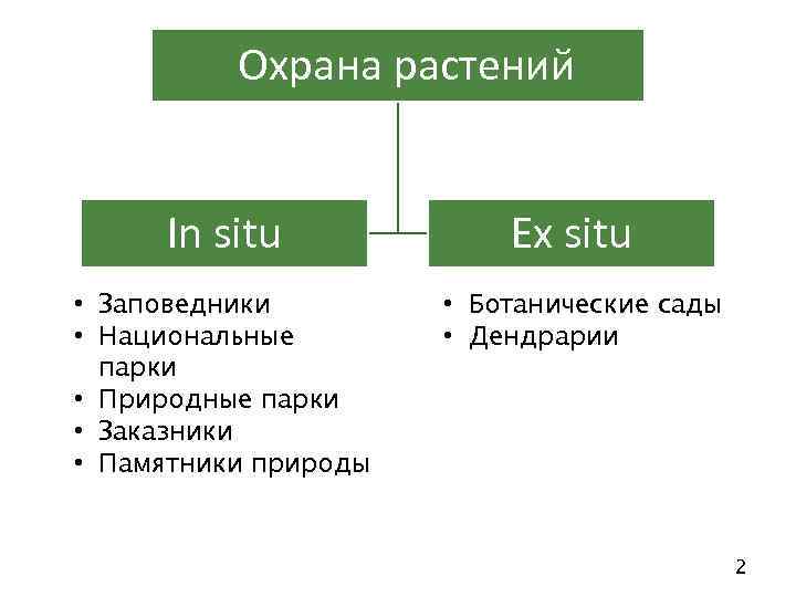 Охрана растений In situ • Заповедники • Национальные парки • Природные парки • Заказники