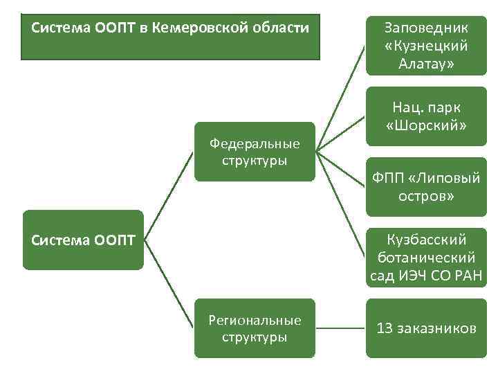 Виды оопт схема