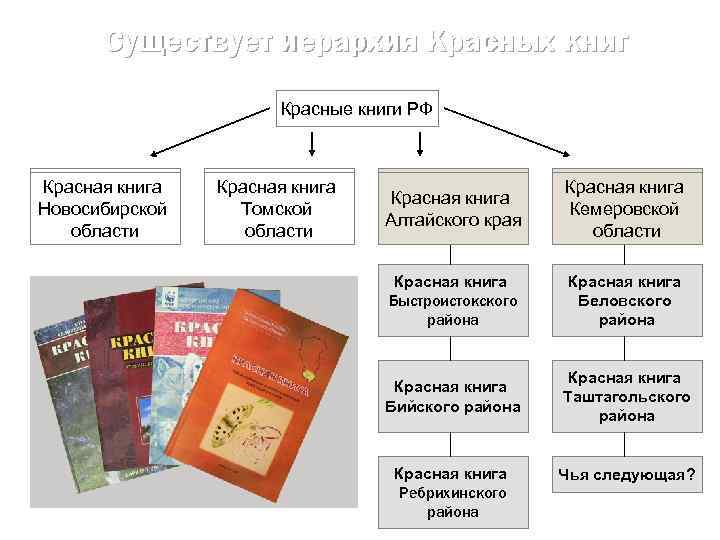 Существует иерархия Красных книг Красные книги РФ Красная книга Новосибирской области Красная книга Томской