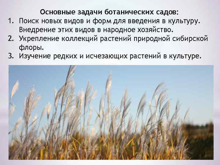 Основные задачи ботанических садов: 1. Поиск новых видов и форм для введения в культуру.