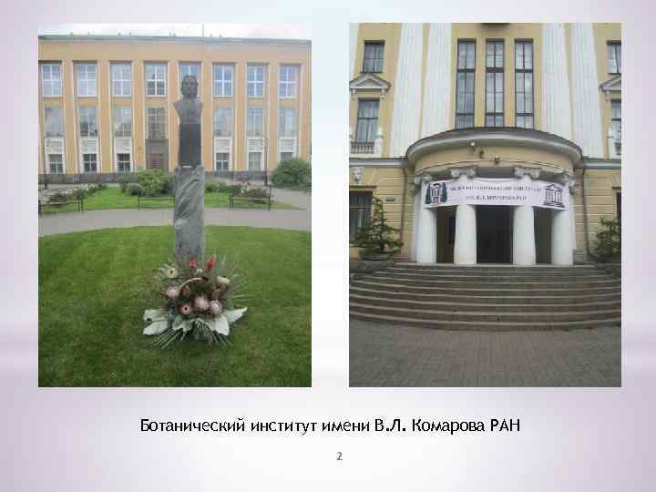 Ботанический институт имени В. Л. Комарова РАН 2 