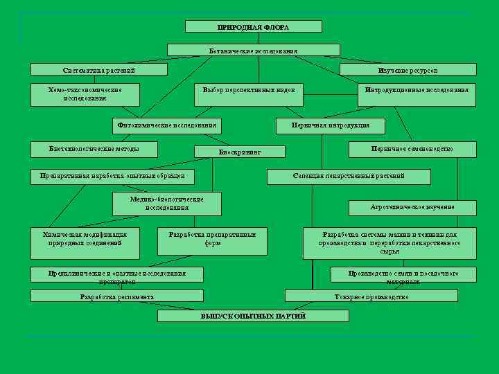 ПРИРОДНАЯ ФЛОРА Ботанические исследования Систематика растений Изучение ресурсов Хемо-таксономические исследования Выбор перспективных видов Фитохимические