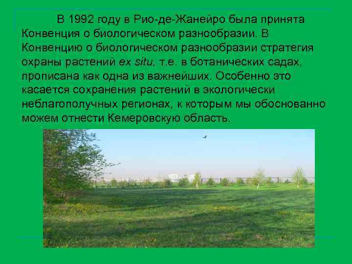 В 1992 году в Рио-де-Жанейро была принята Конвенция о биологическом разнообразии. В Конвенцию о